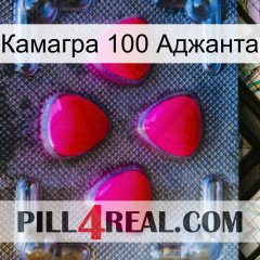 Камагра 100 Аджанта 13